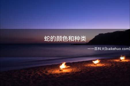 蛇的颜色和种类