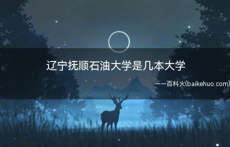 辽宁抚顺石油大学是几本大学