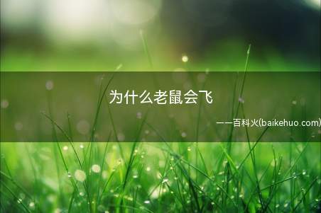 为什么老鼠会飞