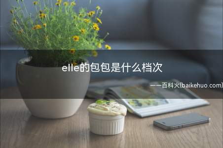 elle的包包是什么档次