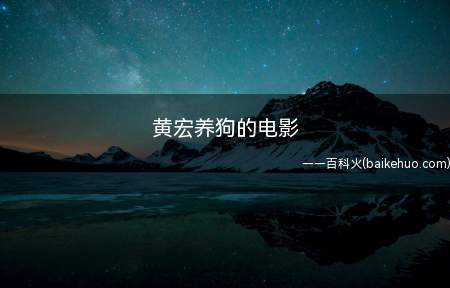 黄宏养狗的电影