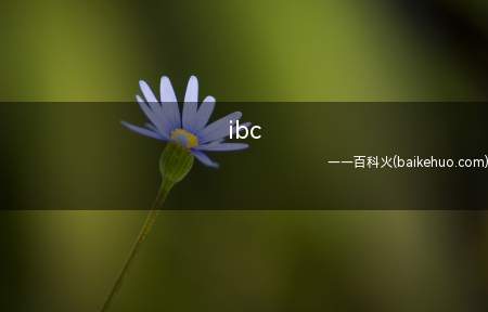 ibc是什么意思