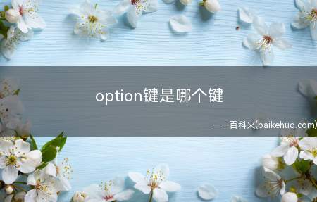 option键是哪个键
