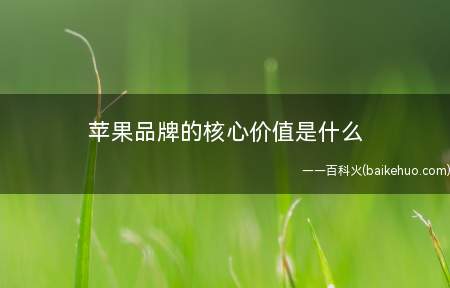 苹果品牌的核心价值是什么