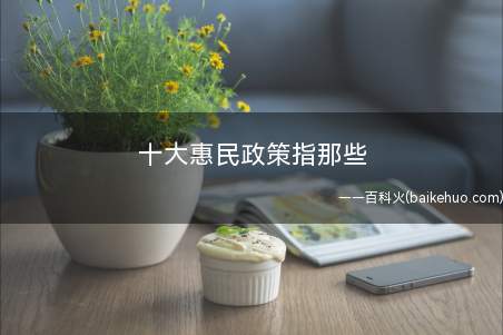 十大惠民政策指那些