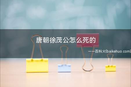 唐朝徐茂公怎么死的