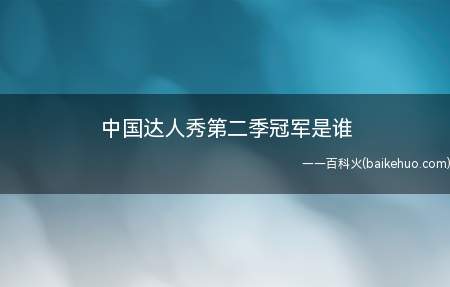 中国达人秀第二季冠军是谁