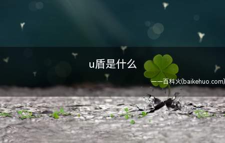 u盾是什么 什么是u盾