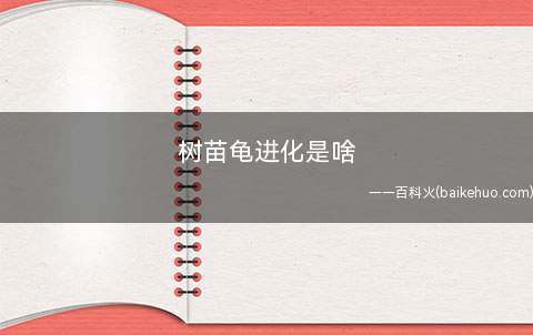 树苗龟进化是啥