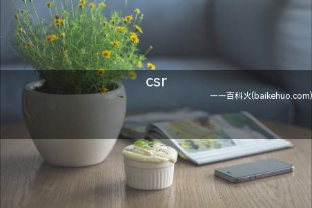 csr是什么意思