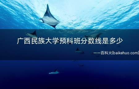 广西民族大学预科班分数线是多少