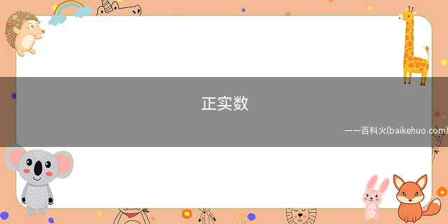 正实数是什么意思