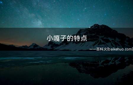 小嘎子的特点
