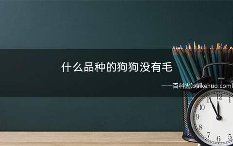 什么品种的狗狗没有毛