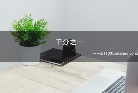 千分之一是什么意思