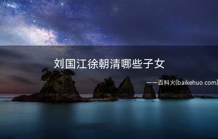 刘国江徐朝清哪些子女