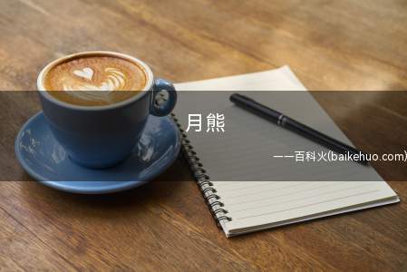 月熊是什么意思