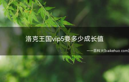洛克王国vip5要多少成长值