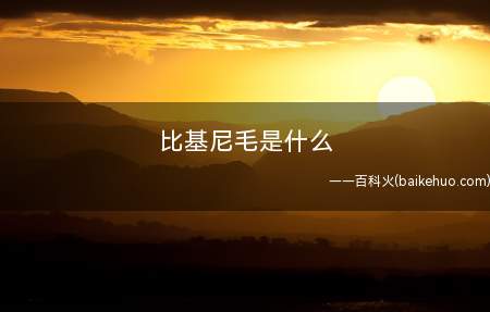 比基尼毛是什么