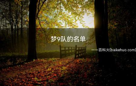 梦9队的名单