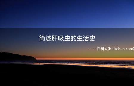 简述肝吸虫的生活史