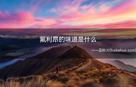 氟利昂的味道是什么