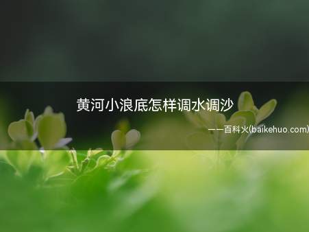 黄河小浪底怎样调水调沙