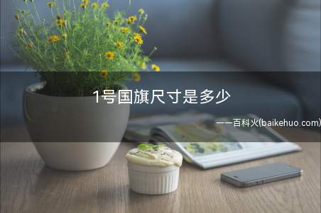 1号国旗尺寸是多少
