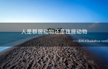 人是群居动物还是独居动物