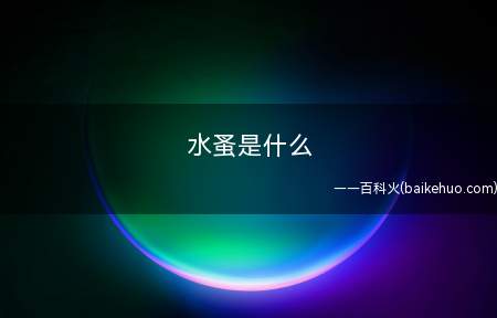 水蚤是什么