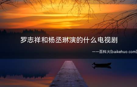 罗志祥和杨丞琳演的什么电视剧