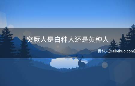 突厥人是白种人还是黄种人