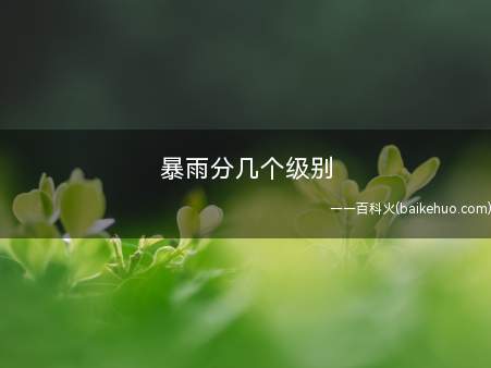 暴雨分几个级别