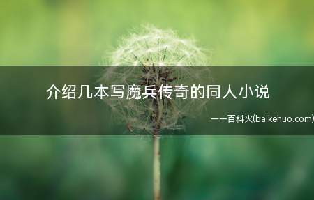介绍几本写魔兵传奇的同人小说