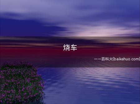 烧车是什么意思