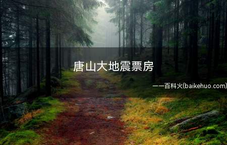 唐山大地震票房