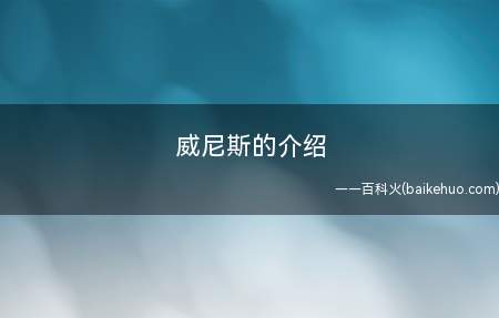 威尼斯的介绍