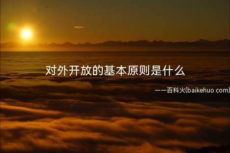 对外开放的基本原则是什么