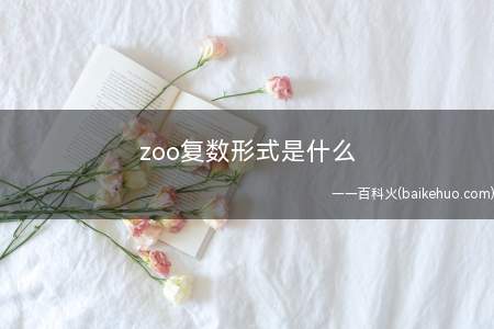 zoo复数形式是什么