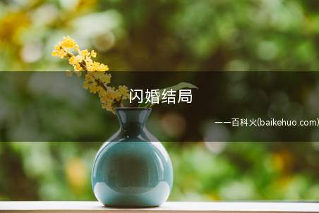 闪婚结局是什么意思