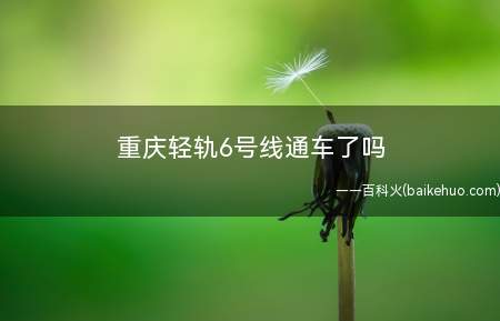 重庆轻轨6号线通车了吗