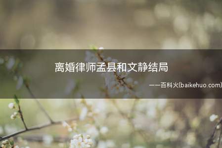 离婚律师孟县和文静结局