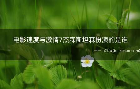 电影速度与激情7杰森斯坦森扮演的是谁