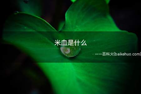 米血是什么