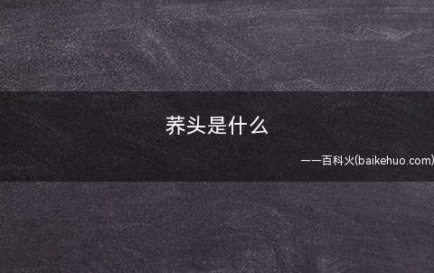 荞头是什么