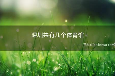 深圳共有几个体育馆