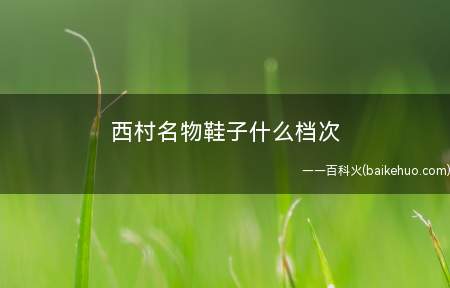 西村名物鞋子什么档次
