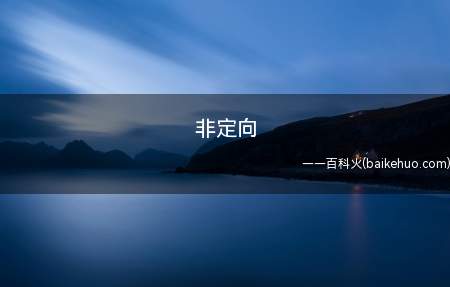 非定向是什么意思