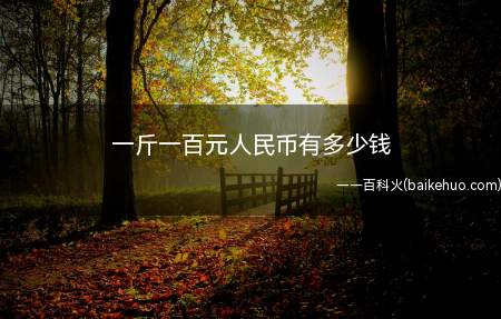 一斤一百元人民币有多少钱
