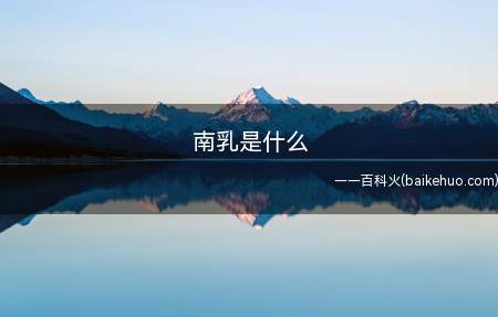 南乳是什么